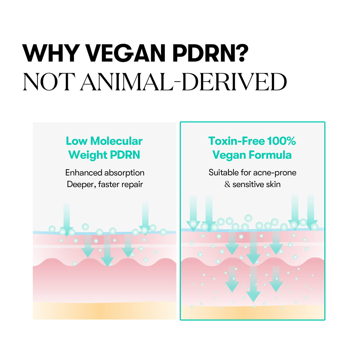 VT Cosmetics PDRN Capsule Cream 100 50ml – vegan PDRN από ginseng