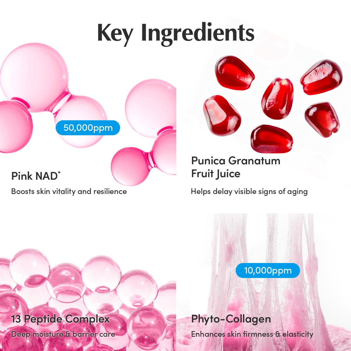 EQQUALBERRY NAD+ Peptide Boosting Cream 50ml – βασικά συστατικά
